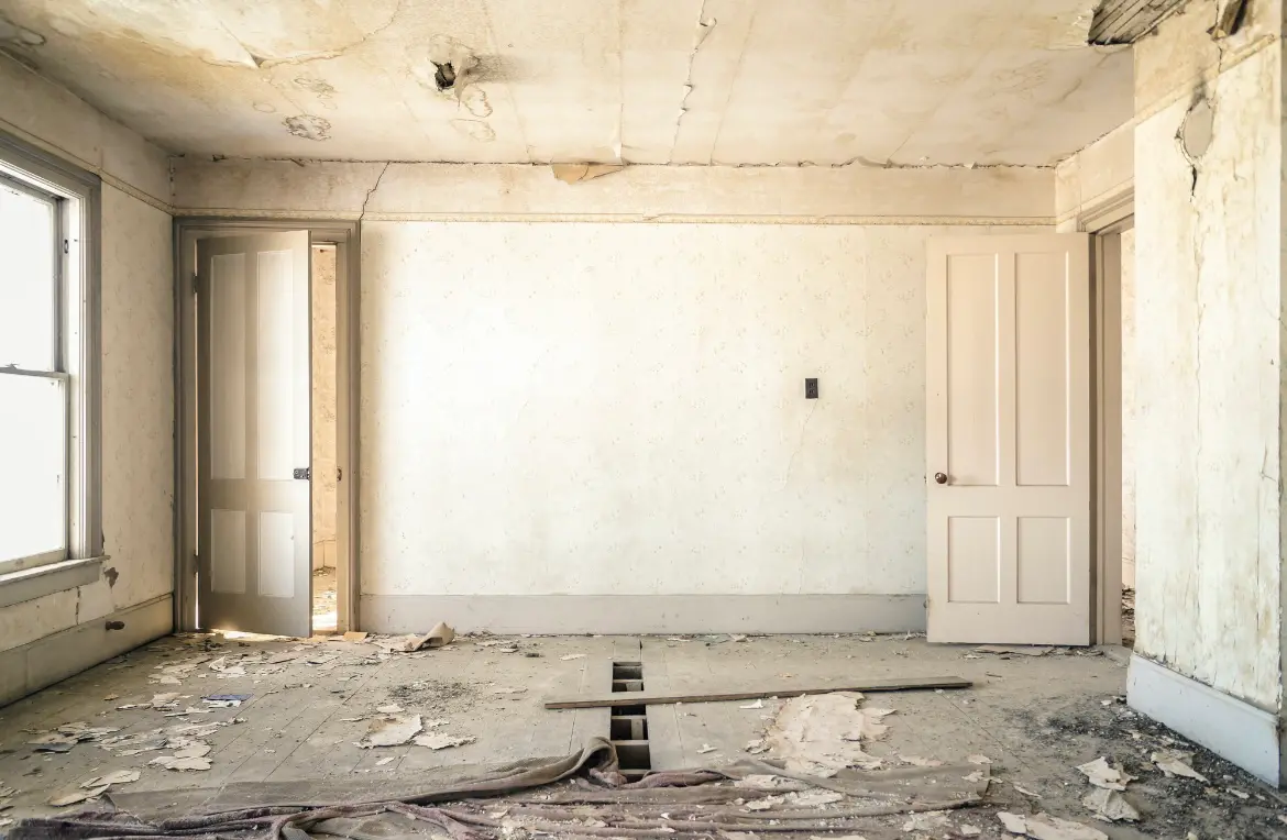 Waste disposal crew managing a cleanout project in Orleans